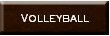 http://www.ladybisonsports.org/lbsVolF.html