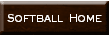 http://www.ladybisonsports.org/lbsSBallF2.html